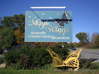 Deerfield Magic Wings Butterfly Conservatory & Gardens
