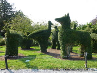 Portsmouth Green Animals Topiary Garden
