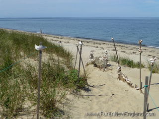 Nantucket Dionis Beach