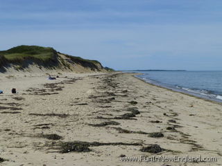 Nantucket Dionis Beach